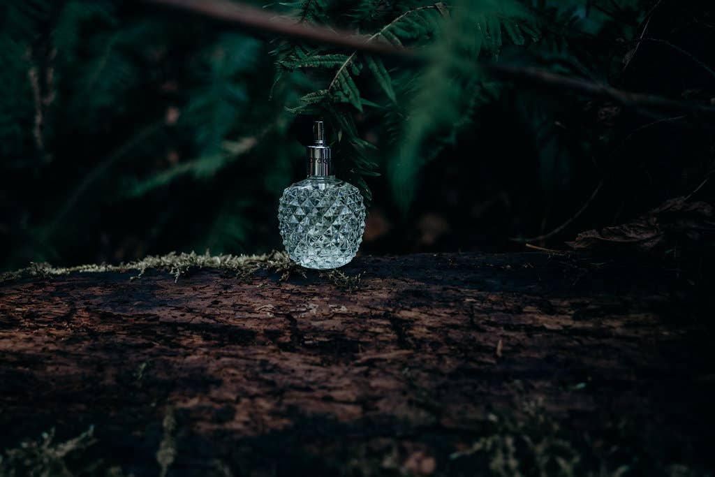 Speakeasy A Lady’s Perfume: 3.21 Fl Ounces / 95 ML